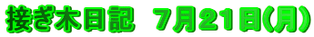 ڂؓL@VQP()